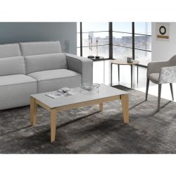 Mesa de centro - comedor - Desde 22120€